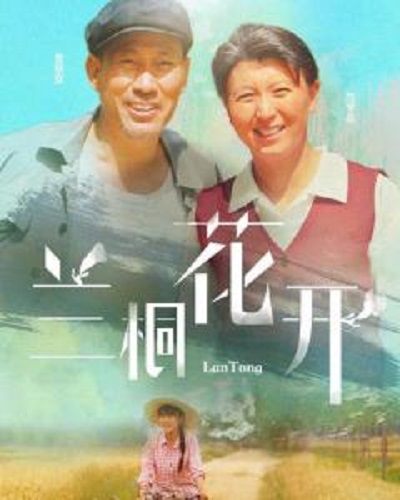 兰桐花开封面图