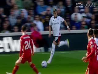 英超联赛 布莱顿VS莱斯特城 20250412封面图