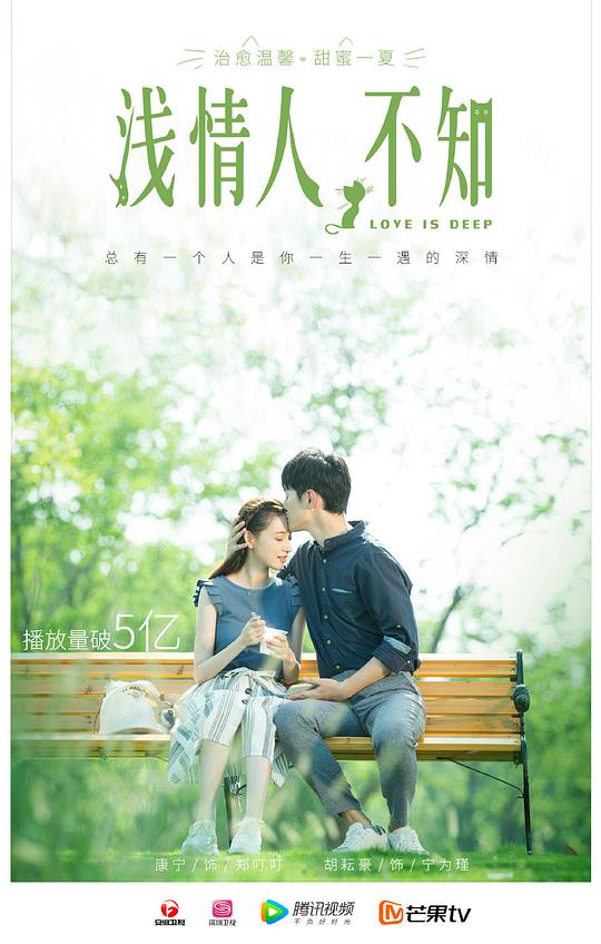 浅情人不知封面图