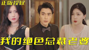 我的绝色总裁老婆封面图