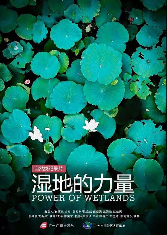 湿地的力量封面图