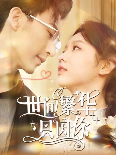 世间繁华只因你封面图