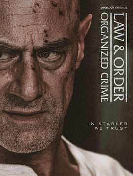 法律与秩序：组织犯罪第5季封面图