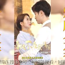 春风不及我情深封面图