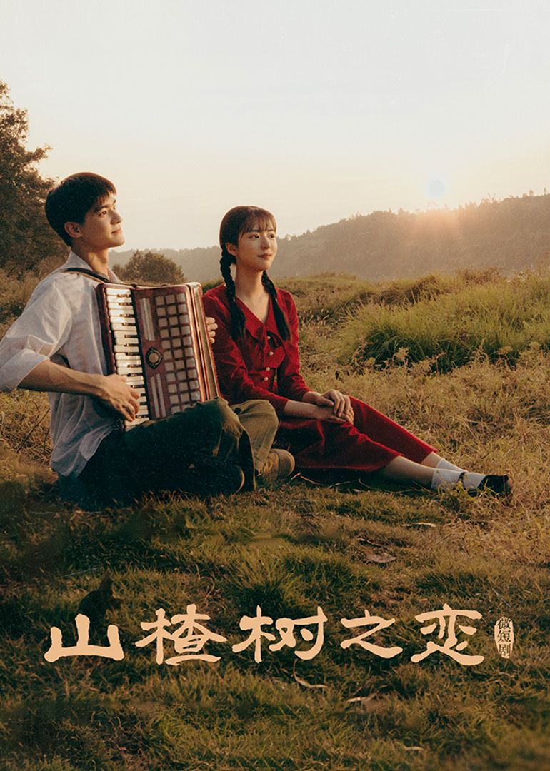 山楂树之恋封面图