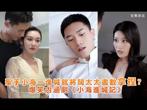 小海进城记封面图