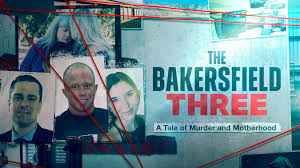 贝克斯非三人组 凶杀与母爱封面图