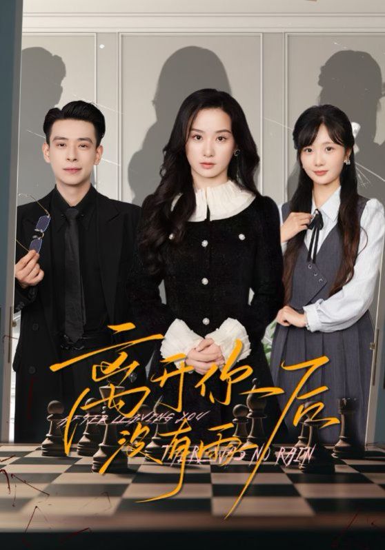 离开你后没有雨封面图