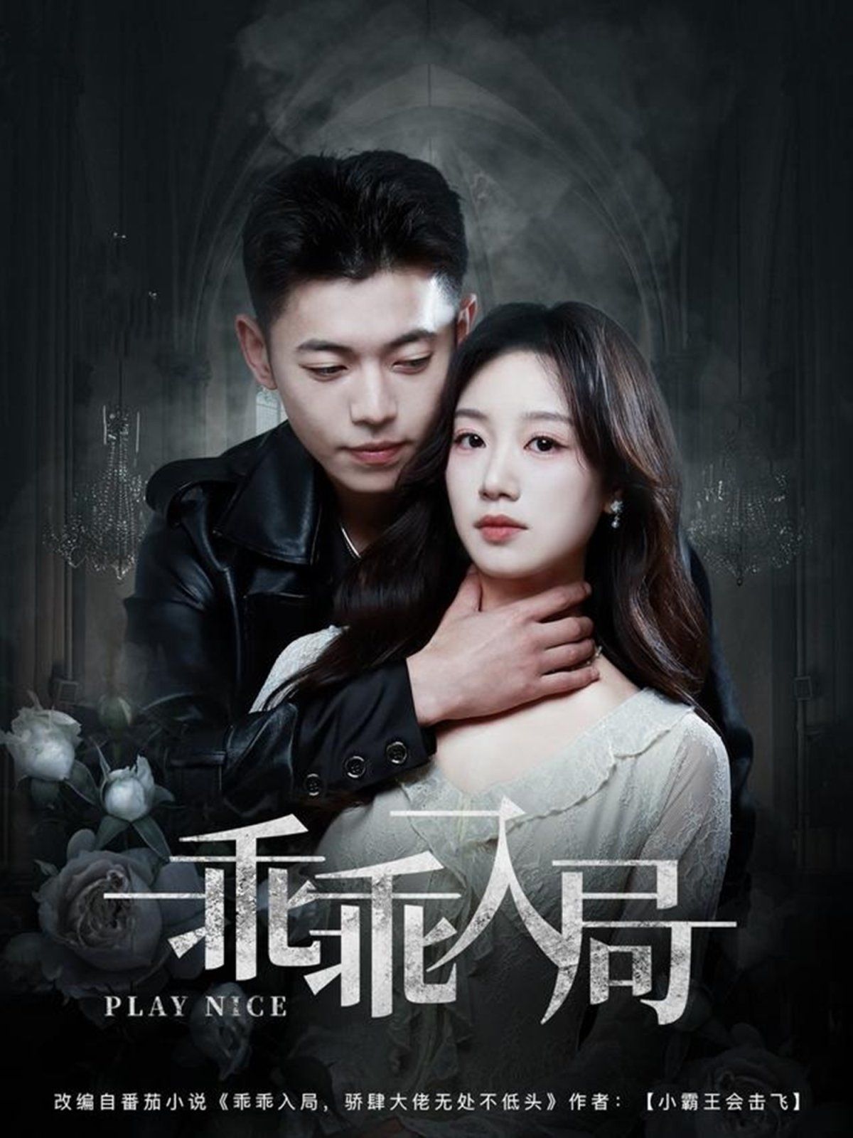 乖乖入局封面图