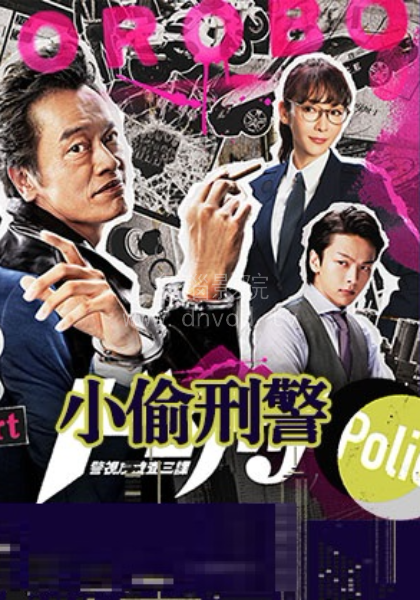 小偷刑警封面图