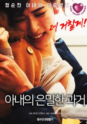 妻子的秘密往事封面图