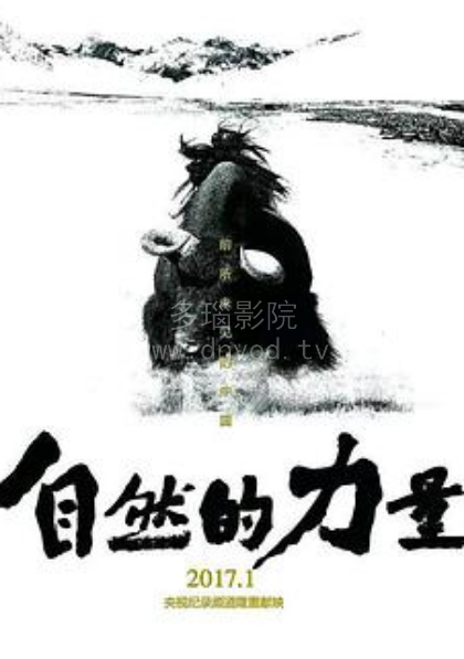 自然的力量封面图