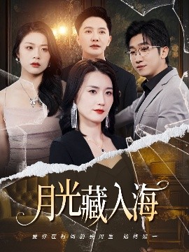 月光藏入海封面图