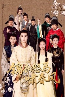 锦衣怒马啸春风封面图