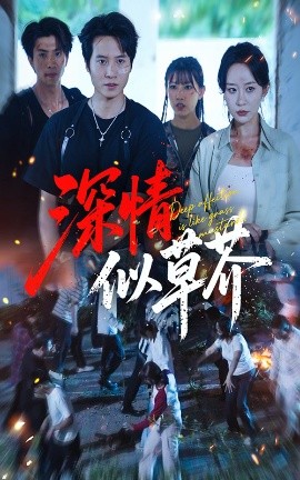 深情似草芥封面图