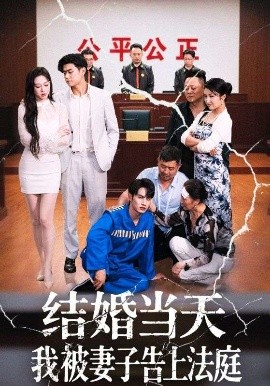 结婚当天我被妻子告上法庭封面图