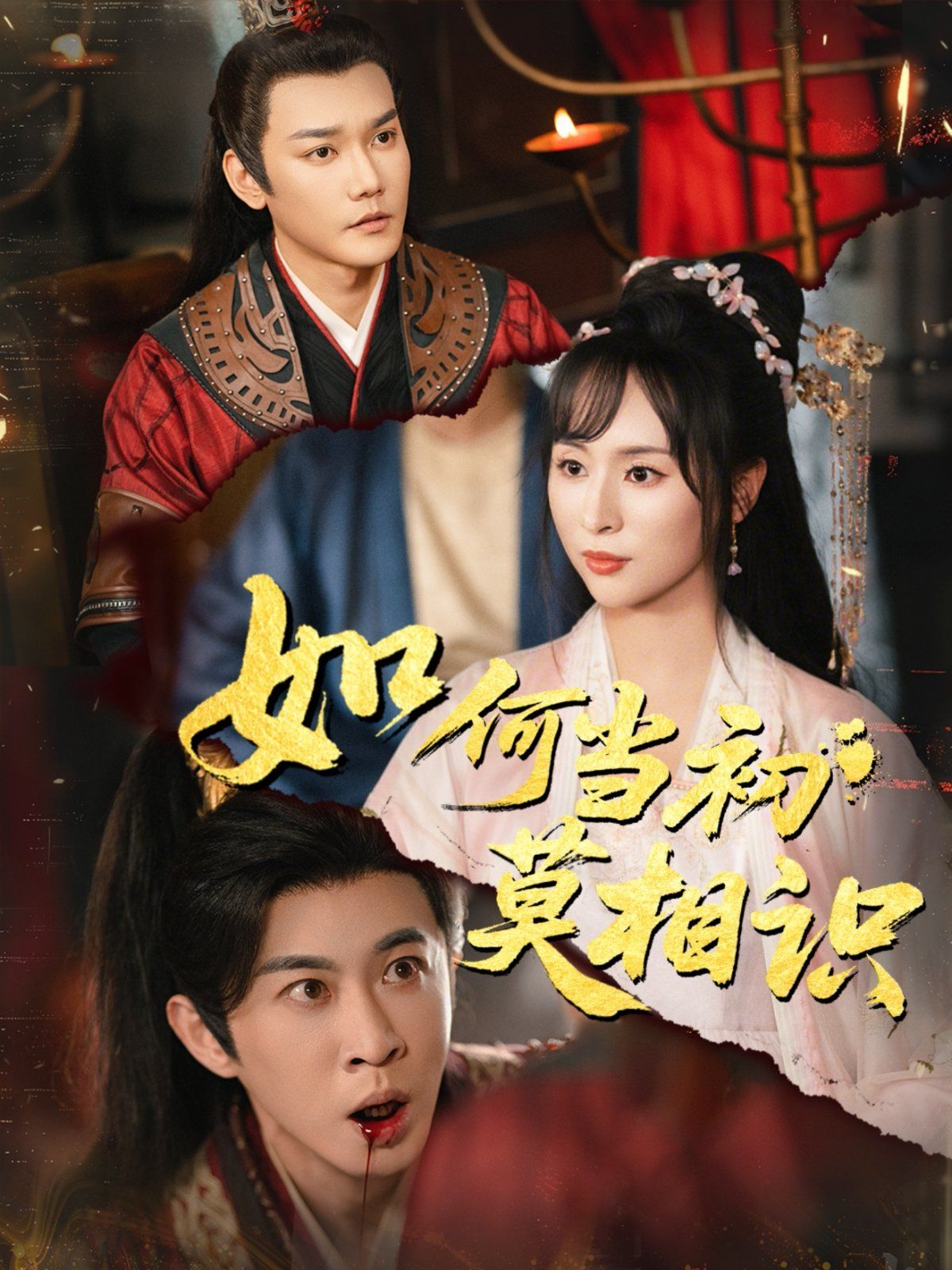 如何当初莫相识封面图