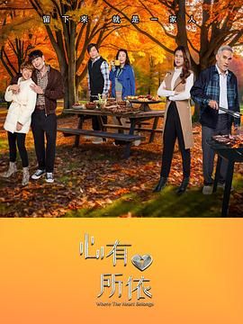 心有所依封面图