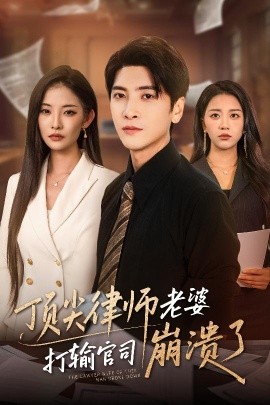 顶尖律师老婆打输官司崩溃了爱至深处不回头封面图