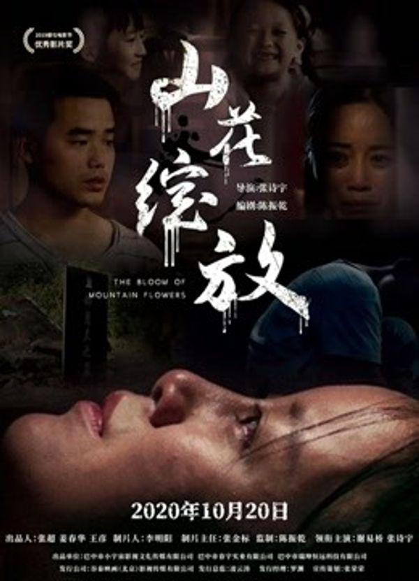 山花绽放封面图