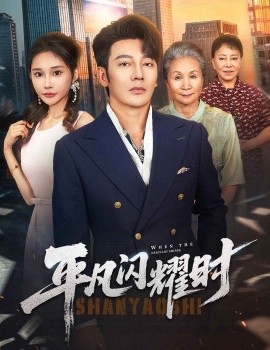 平凡闪耀时封面图