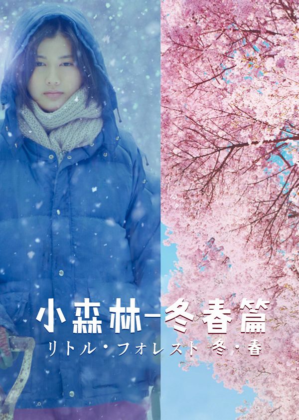 小森林冬春篇封面图