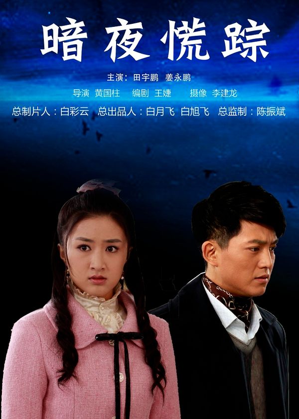 暗夜慌踪封面图