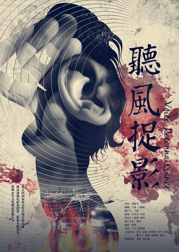 听风捉影封面图