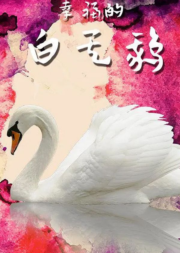 幸福的白天鹅封面图