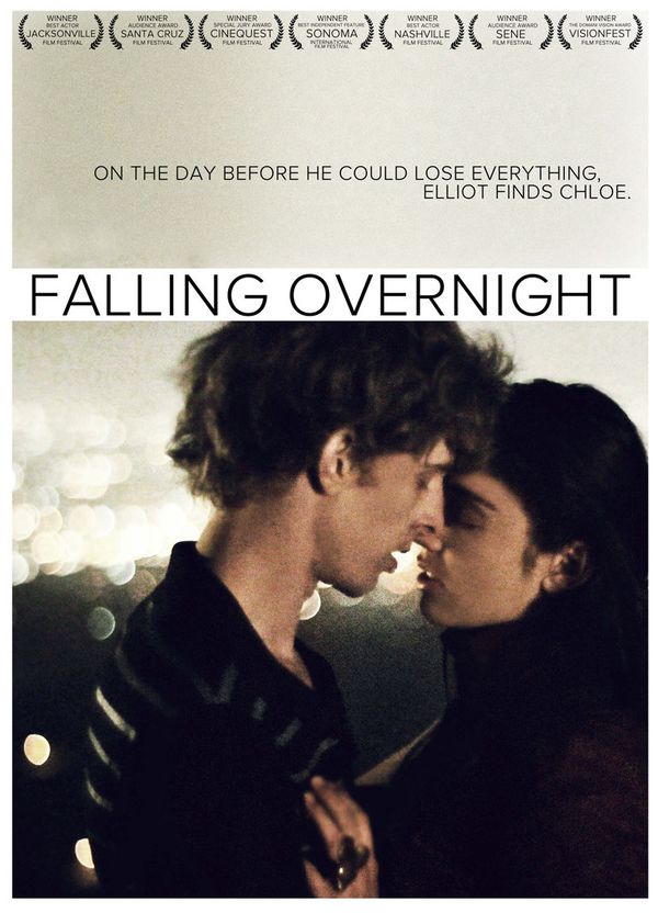 一夜爱情封面图