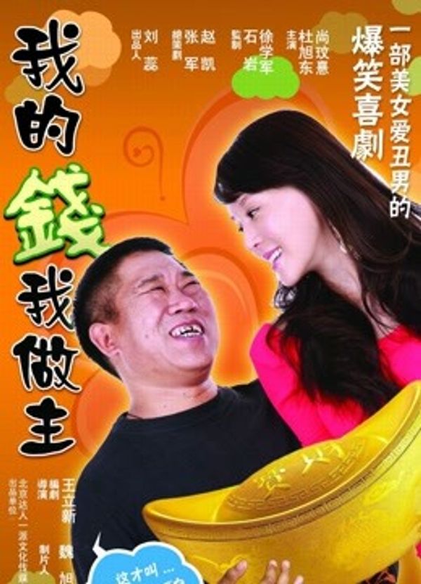 我的钱我做主封面图