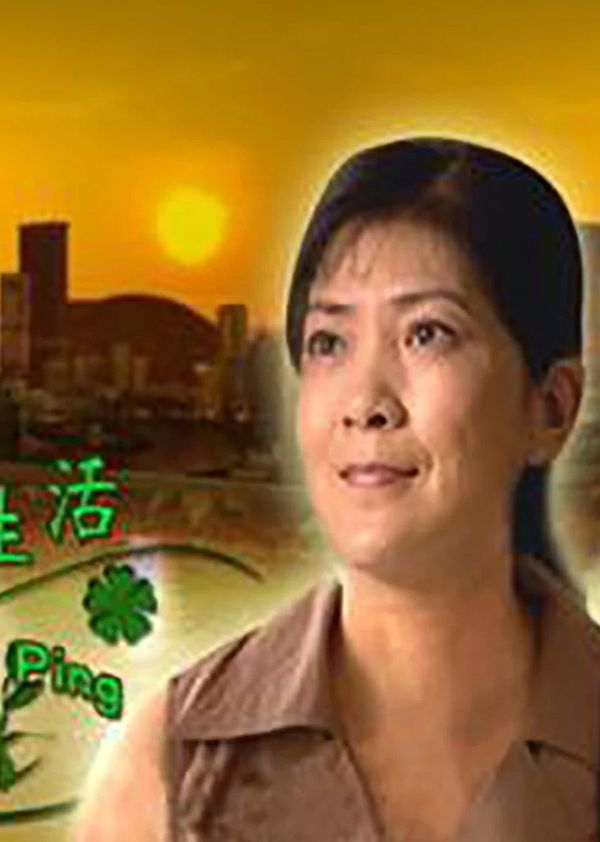 陶宝萍的幸福生活封面图