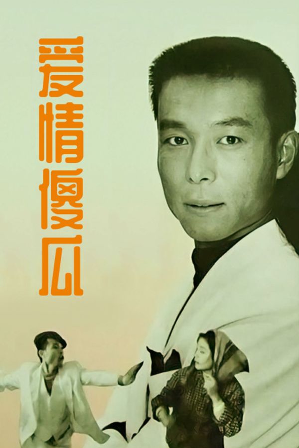 爱情傻瓜封面图