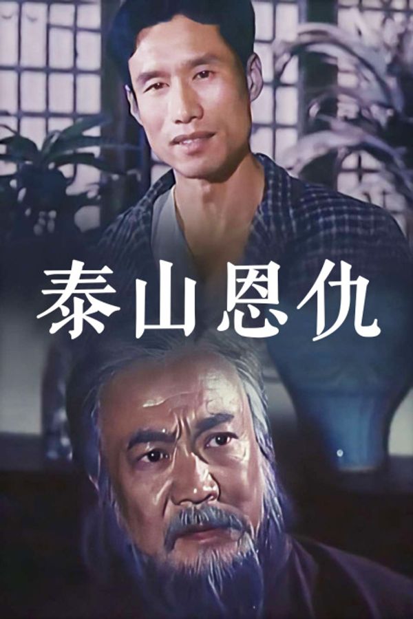 泰山恩仇封面图