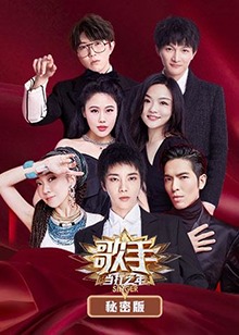 歌手当打之年 秘密版封面图