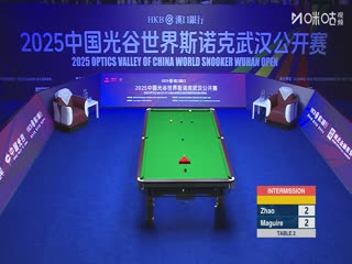 2025斯诺克武汉公开赛32进16 斯蒂芬马奎尔5-4赵心童 20250826封面图
