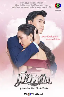 非婚不可เมียจำเป็น封面图