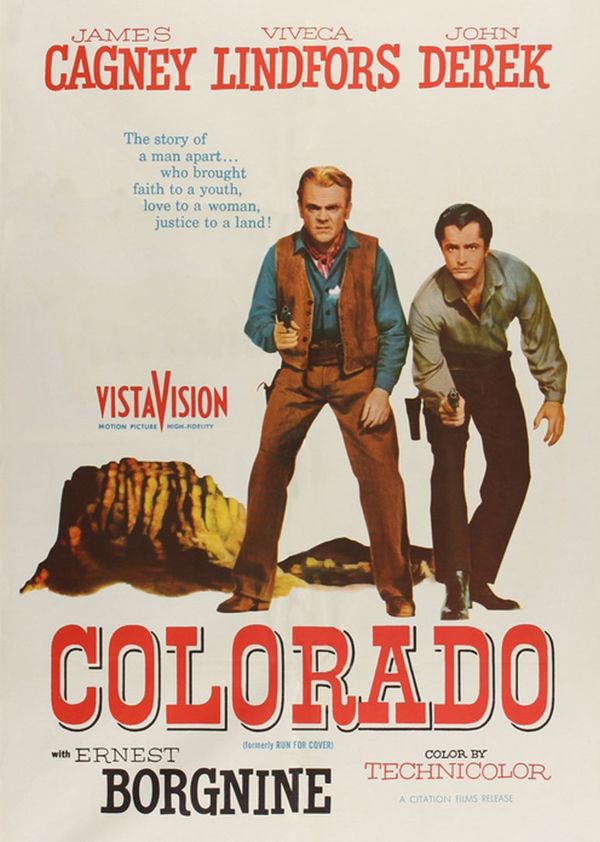 寻求庇护封面图