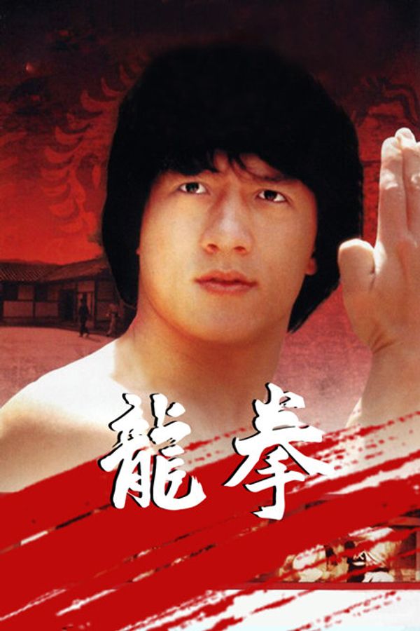 龙拳封面图