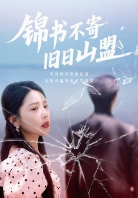 锦书不寄旧日山盟封面图