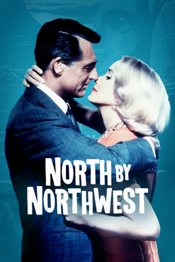 西北偏北封面图