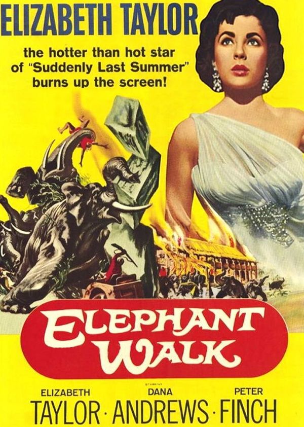 逻宫大神秘封面图