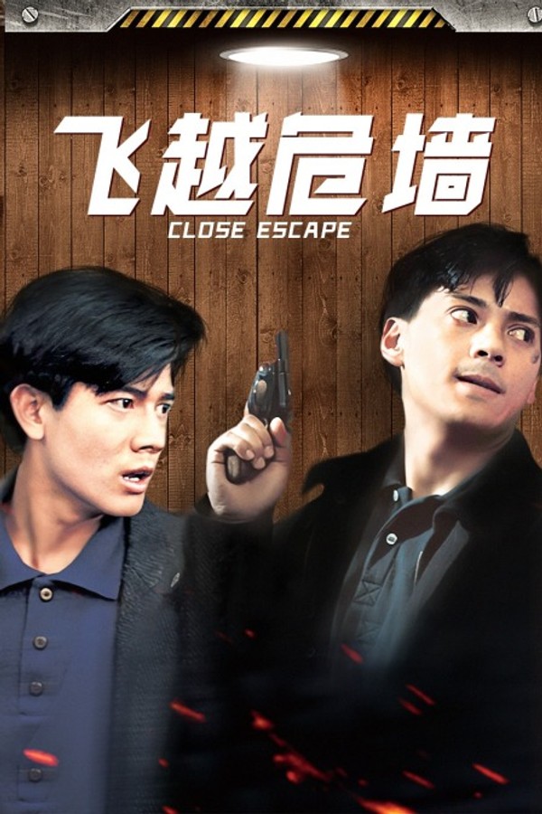 飞越危墙封面图