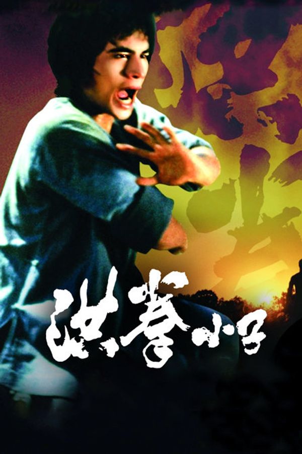 洪拳小子封面图