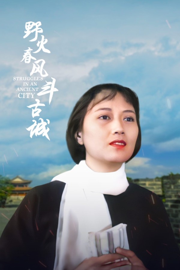 野火春风斗古城封面图