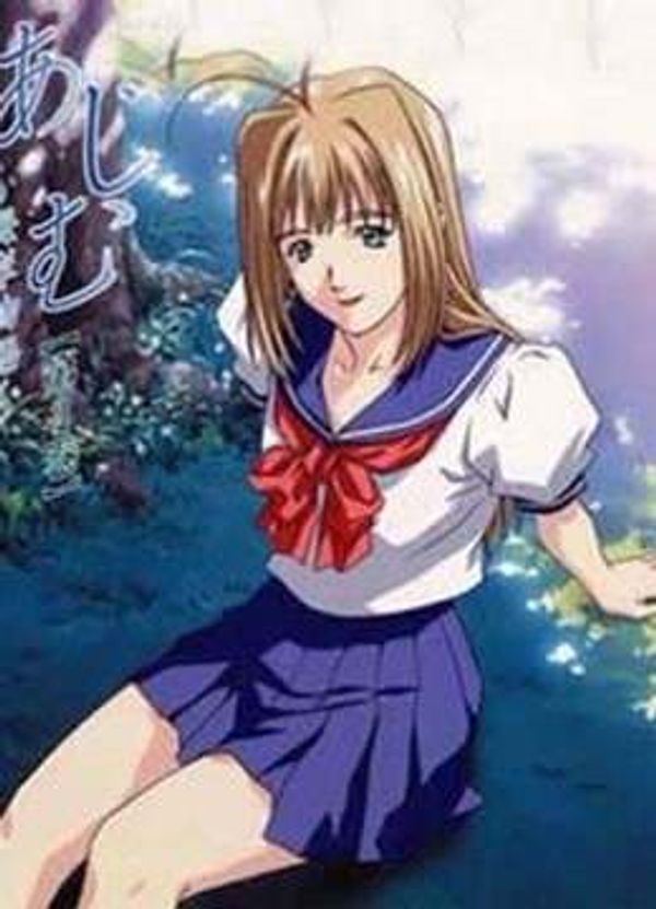 海岸物语封面图