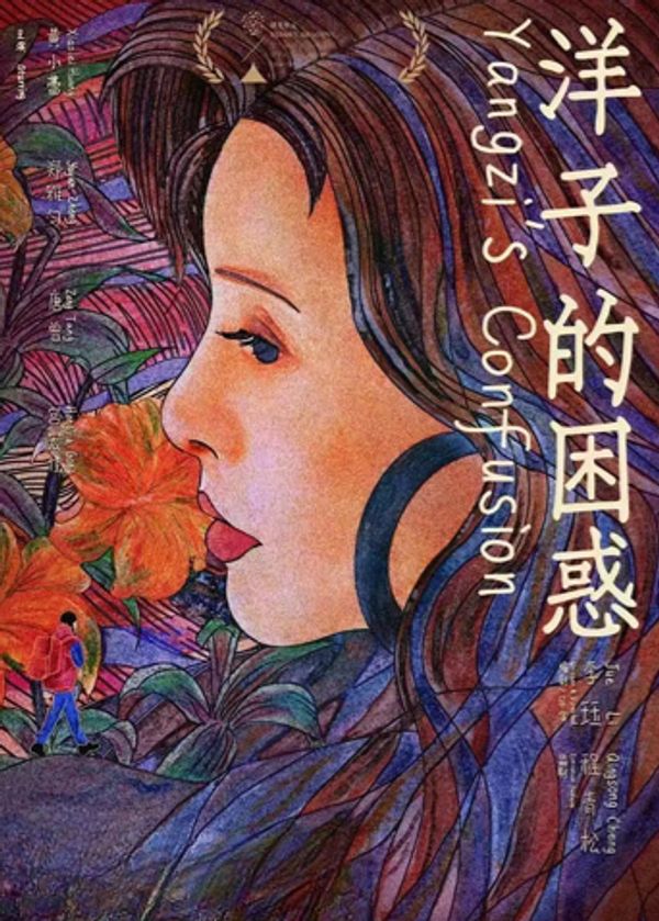 洋子的困惑封面图