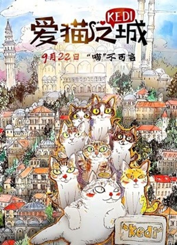 爱猫之城国语封面图