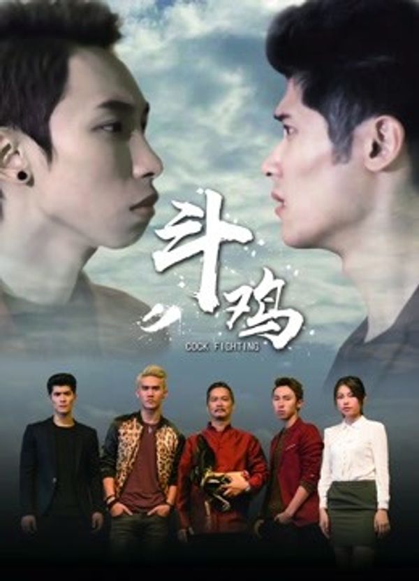 斗鸡封面图