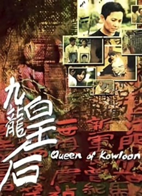 九龙皇后封面图